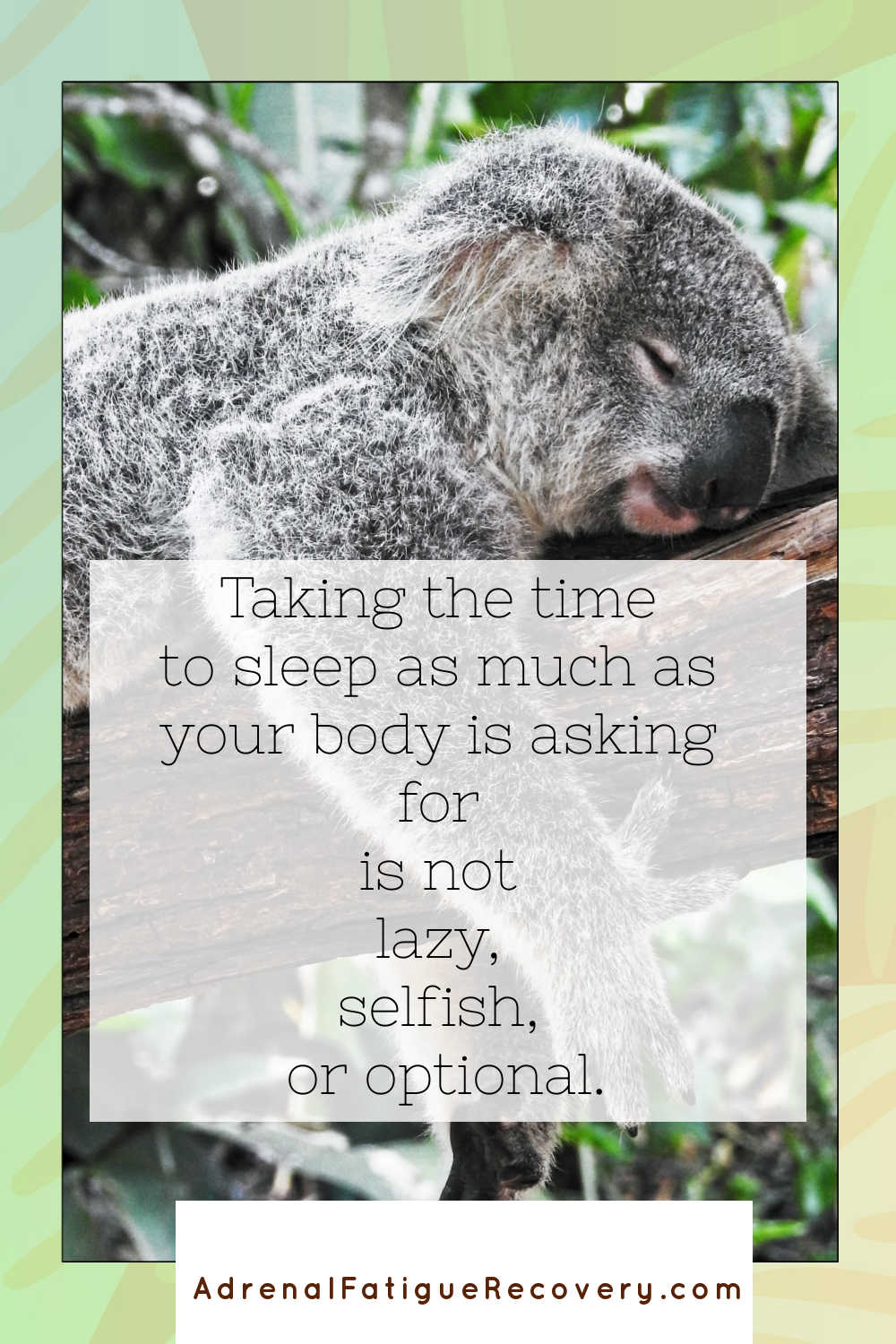 picture of koala napping on a branch with text overlay "Taking the time to sleep as much as your body is asking for is not lazy, selfish, or optional. from www.adrenalfatiguerecovery.com