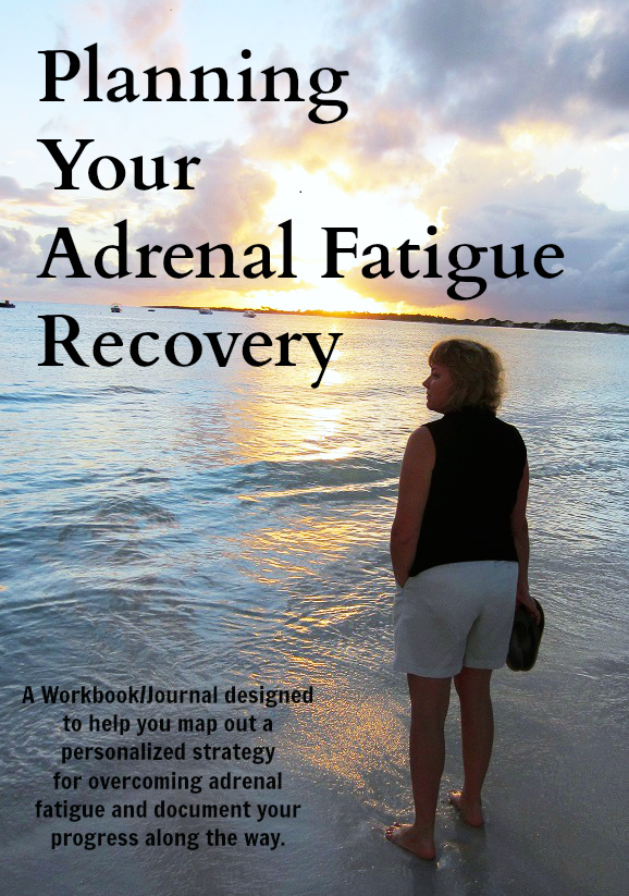 planning your adrenal fatigue recovery workbook
